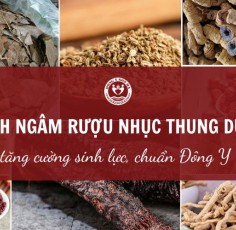 Cách ngâm rượu nhục thung dung tăng cường sinh lực, chuẩn Đông y